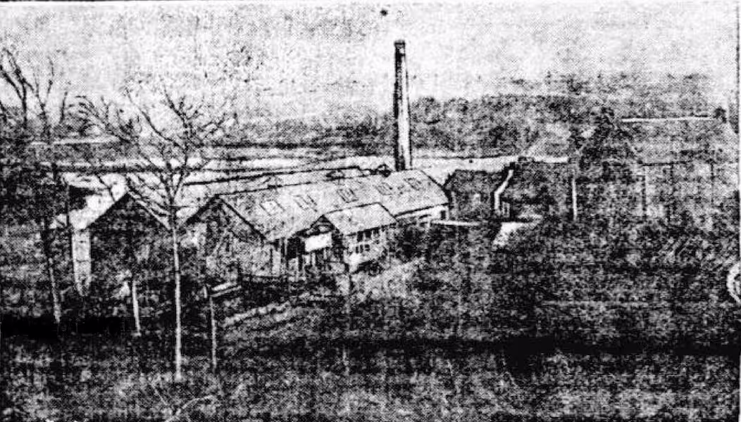 L'usine de la Grande-Palud
23 mars 1919 Photographie de presse, Le Nouvelliste (mars 1919) : Vue générale des Usines de la Grande-Palud