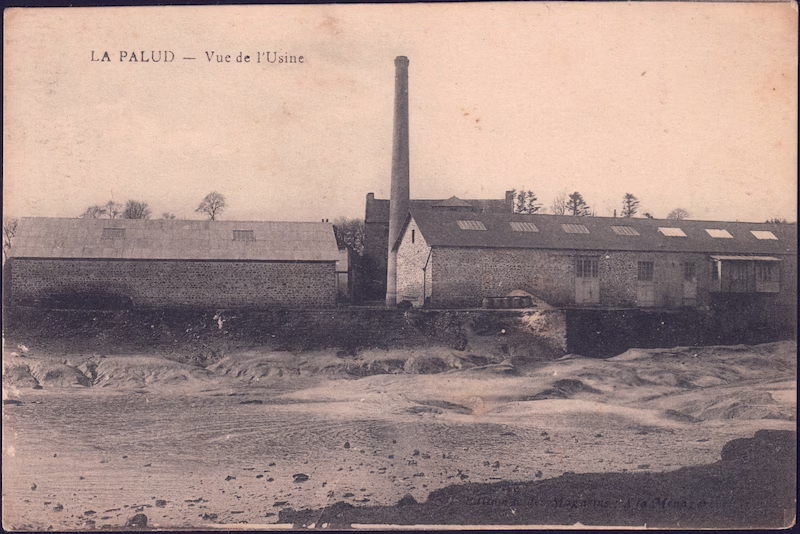 La Palud - Vue de l'Usine Carte postale ancienne éditeur Magasin à la ménagère : La Palud - Vue de l'Usine